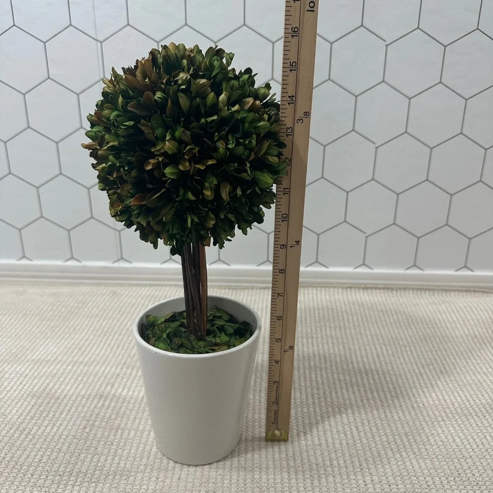 Preserved Boxwood Topiary Ball in White Ceramic Pot 16 Inch Faux Greenery Decor